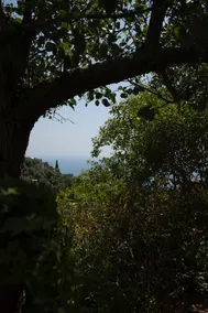 Casa La Cisterna, between the sky and sea. - Image 2