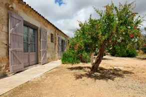 Masseria Don Tommaso - Image 2