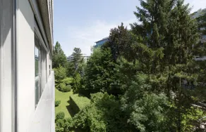 Cosy Studio Central Geneva with Parking - Image 5