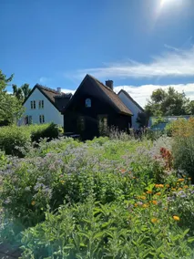 Unique accommodation - close to beach and forest. - Image 2
