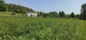 Cascina Ronco dei Lari - Il NIDO - Lake Maggiore - Image 2