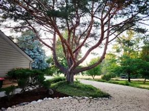 Inn the Trees, Wine Cellar Suite, private entrance - Image 5