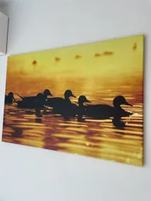 The Duck of Amsterdam - Image 3