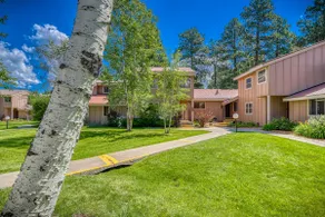 FIND YOUR PEACE IN PAGOSA SPRINGS!  - Image 3
