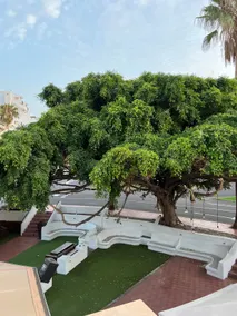 Cozy apartment in Costa Adeje - Image 5