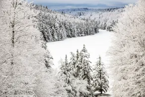 Mt Snow Ski Home Sleeps 13 with EV Charger Hot Tub - Image 5