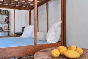 White Mulberry House - Image 5
