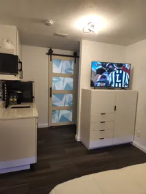 Beautiful suite near the beautiful beaches of St Pete - Image 4