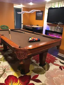 Pvt 1 bedroom apt. with pullout sofa+gameroom/uncc - Image 2