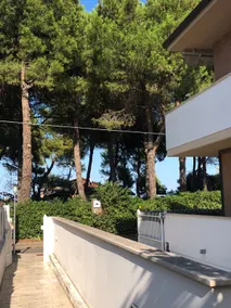 Room with access to the pine forest and the beach. - Image 5