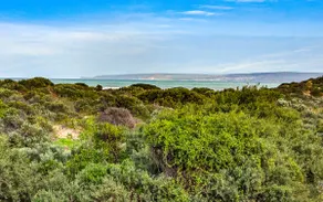 Ocean Drift—A Family Getaway by Goolwa Beach - Image 3