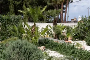 Casa Enza di fronte la Tonnara - Image 3