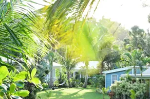 Beachfront Cottage #5 - Image 5
