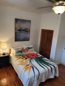 Reservoir Hill Mansion - Image 4