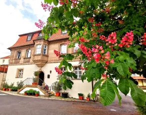 Palais zur Lilie - Image 3