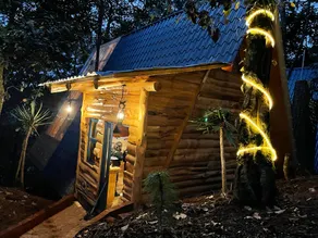 Cheerful little cottage with a view of the forest!! - Image 3