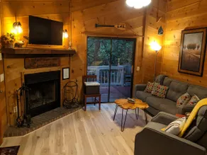 Favorite Forest Cabin near Helen, GA with Hot Tub - Image 3
