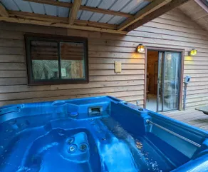 Favorite Forest Cabin near Helen, GA with Hot Tub - Image 2