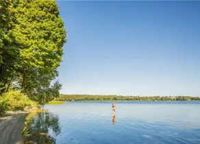 The Wilolea | Milford | 5 Bedrooms | Waterfront - Image 4
