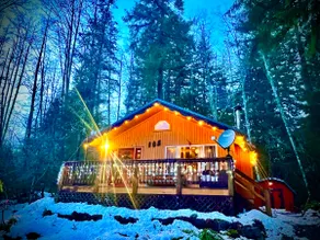 Cabin with view HotTub Sauna 5mi Rainier NP WI-FI - Image 2