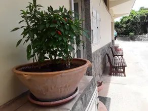 Accommodation with veranda - Image 4
