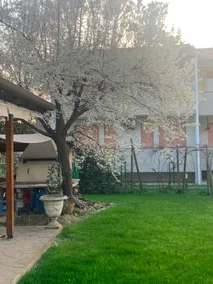 Villa Oasi Apartment - A short walk from the center - Image 5