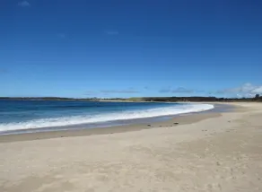 Coastal Vibes - Walk to beach, Marina, Cafes and Pubs - Image 3