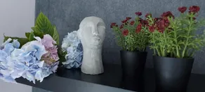 The Nest. Studio/Suite - Image 3