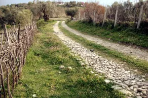 A Piece of Albania - Image 3