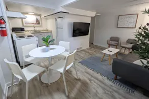 Washington Quiet Corner Apartment - Image 5