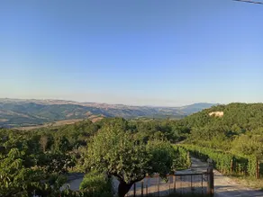 Villetta panoramica Le Ginestrelle - Image 2
