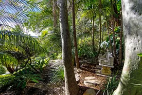 Corymbia - unique blend of beach and native bush. - Image 3