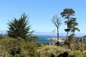 Breathtaking Carmel Penthouse Suite w/ Brad Pitt! - Image 2