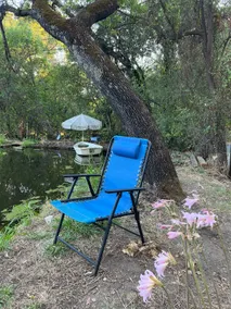 Restored Home on Verdant Property+Fishing Pond - Image 2