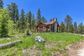 Moose Meadows with National Forest Access - Image 2
