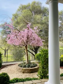 Tranquil & clean 5-acre getaway (Belladeux) - Image 3