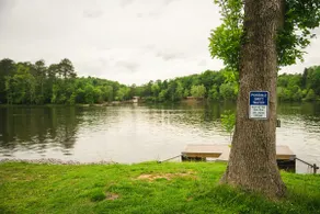 Newly Renovated -4Bedroom Home on Lake Mitchell - Image 5