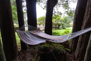 Forest oasis 3 min from beach + Hot Tub + Fire Pit - Image 2