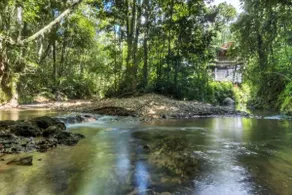 Butterfly Bend- Luxury in the Rainforest - Image 2