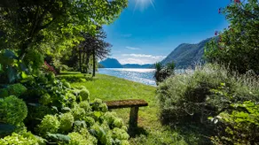 Secluded Cottage front Lake with BOAT - Image 3