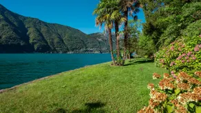 Secluded Cottage front Lake with BOAT - Image 4