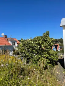 Nice cottage with large terrace - Image 3