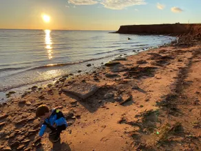 Beautiful new cottage on the beach- sleeps 6 - Image 3