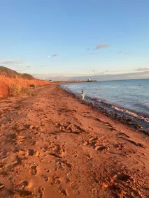 Beautiful new cottage on the beach- sleeps 6 - Image 4