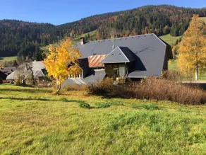 The MiCla - Your Black Forest home / sparrow's nest - Image 2