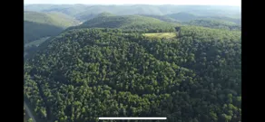 Elk Mountain Chateau - Image 2