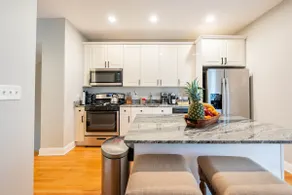 Old Town/Lincoln Park Luxury Home Garage & Rooftop - Image 5