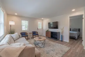 The Luxe - Image 4