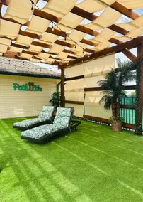 5 Acre-Country Home Amazing Backyard with Firepit - Image 3