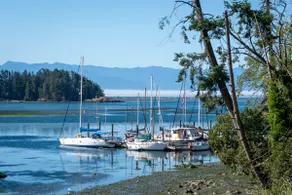 Coastal Shores Oceanside Retreat - Image 4